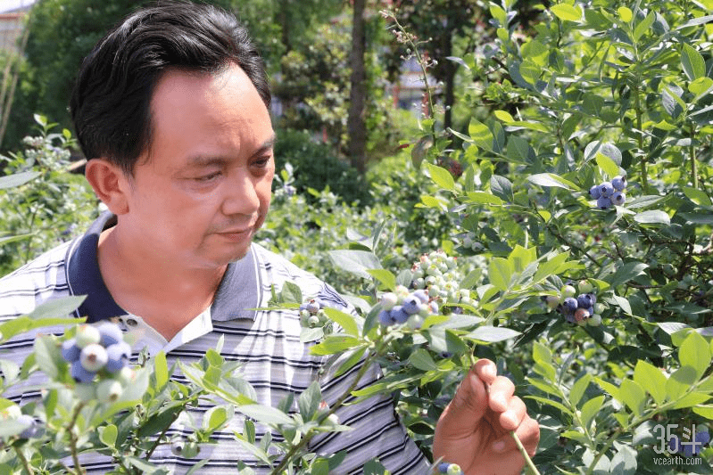 开云体育在线-四川再次告捷，深耕基础打法得到验证