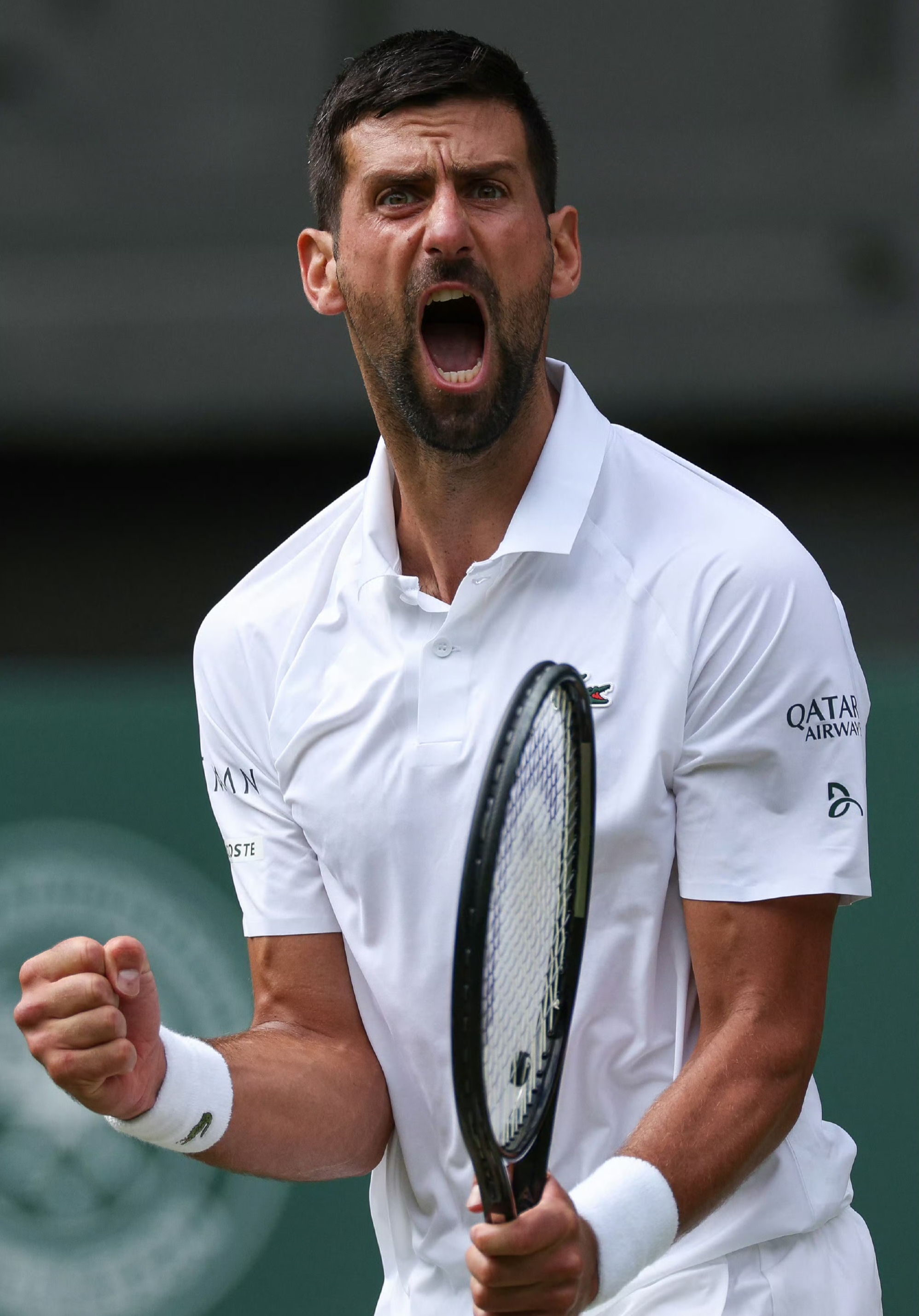 温网绝杀联合杯,德约科维奇带队取胜 温网绝杀联合杯,德约科维奇带队取胜